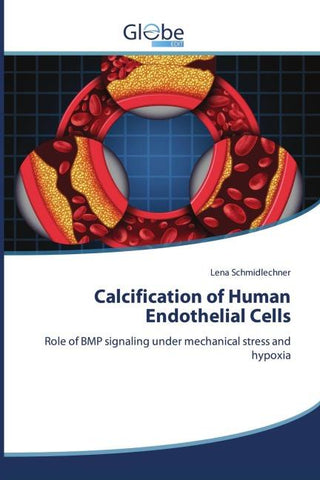 Calcification of Human Endothelial Cells