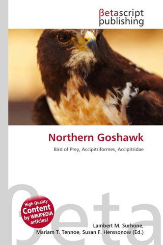 Northern Goshawk
