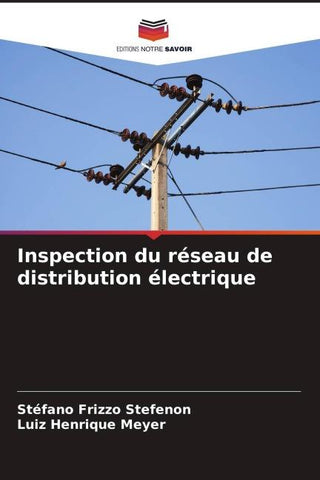 Inspection du réseau de distribution électrique
