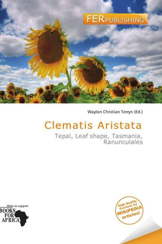 Clematis Aristata