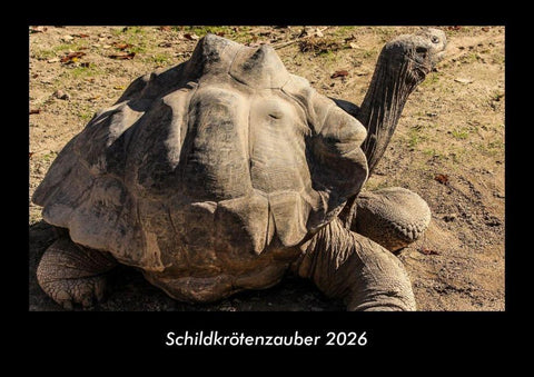 Schildkrötenzauber 2026 Fotokalender DIN A3