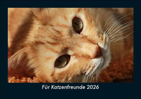 Für Katzenfreunde 2026 Fotokalender DIN A5