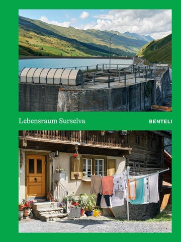 Lebensraum Surselva
