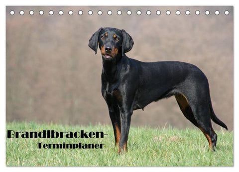 Der Brandlbracken-Terminplaner (Tischkalender 2026 DIN A5 quer), CALVENDO Monatskalender