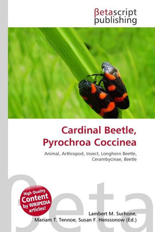 Cardinal Beetle, Pyrochroa Coccinea