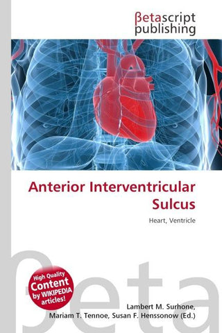 Anterior Interventricular Sulcus
