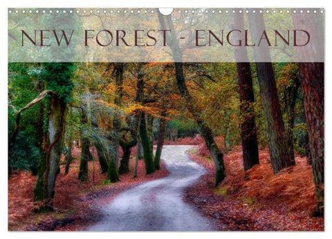 New Forest - England (Wandkalender 2026 DIN A3 quer), CALVENDO Monatskalender