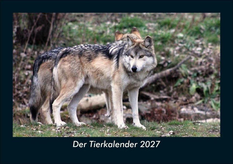 Der Tierkalender 2027 Fotokalender DIN A5