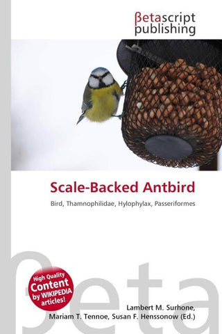 Scale-Backed Antbird