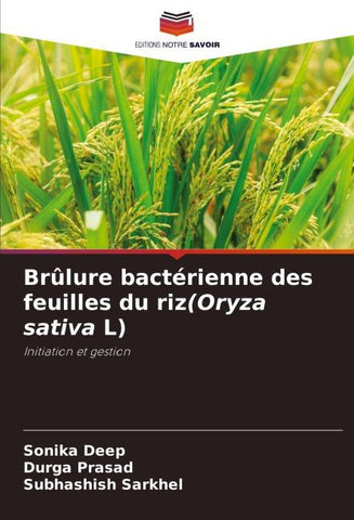 Brûlure bactérienne des feuilles du riz(Oryza sativa L)