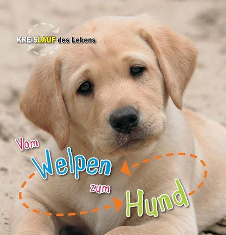 Vom Welpen zum Hund