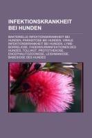 Infektionskrankheit bei Hunden