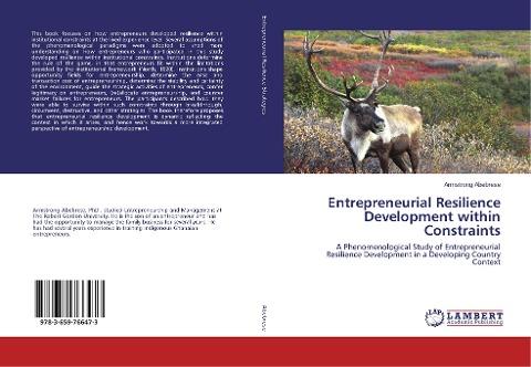 Entrepreneurial Resilience Development within Constraints