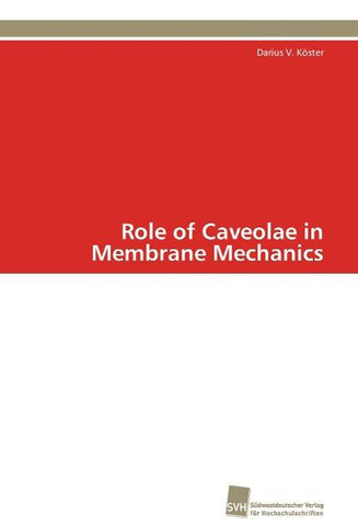 Role of Caveolae in Membrane Mechanics