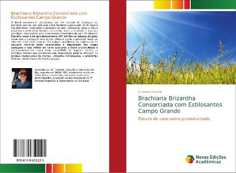 Brachiaria Brizantha Consorciada com Estilosantes Campo Grande