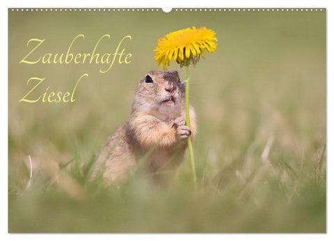 Zauberhafte Ziesel (Wandkalender 2026 DIN A2 quer), CALVENDO Monatskalender