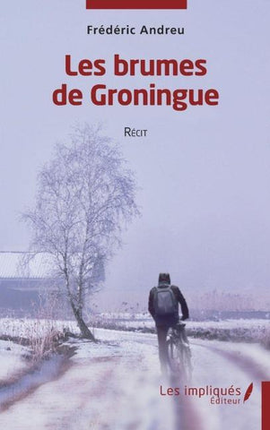 Les brumes de Groningue