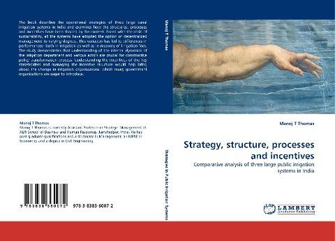 Strategy, structure, processes and incentives