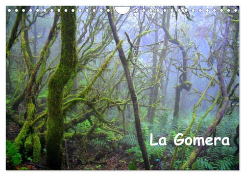 La Gomera (Wandkalender 2026 DIN A4 quer), CALVENDO Monatskalender