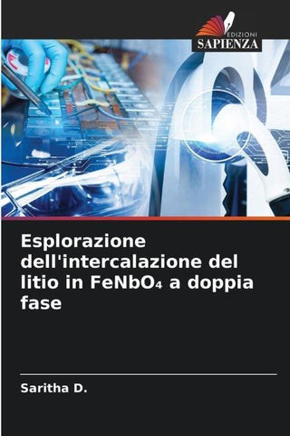 Esplorazione dell'intercalazione del litio in FeNbO¿ a doppia fase