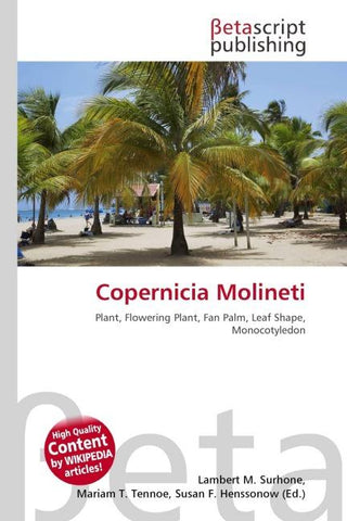 Copernicia Molineti