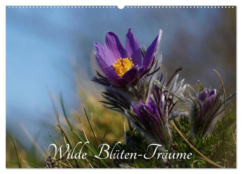 Wilde Blüten-Träume (Wandkalender 2026 DIN A2 quer), CALVENDO Monatskalender