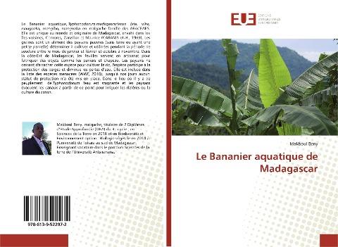 Le Bananier aquatique de Madagascar