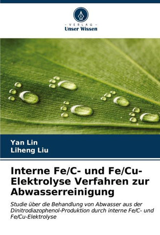 Interne Fe/C- und Fe/Cu-Elektrolyse Verfahren zur Abwasserreinigung