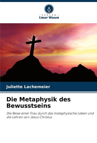 Die Metaphysik des Bewusstseins