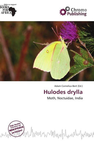 Hulodes drylla