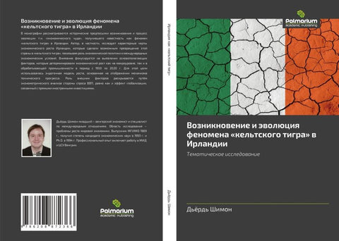 Vozniknowenie i äwolüciq fenomena 'kel'tskogo tigra' w Irlandii