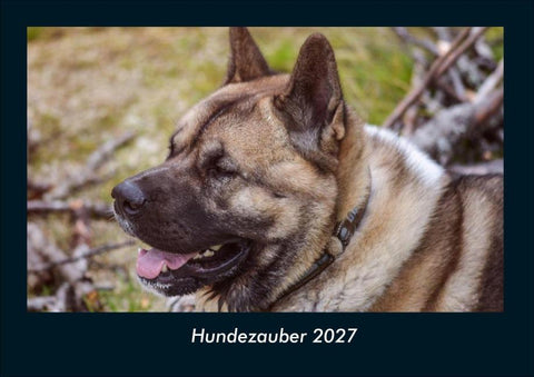 Hundezauber 2027 Fotokalender DIN A4