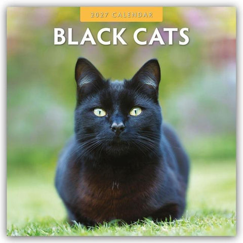 Black Cats – Schwarze Katzen 2027 – 16-Monatskalender
