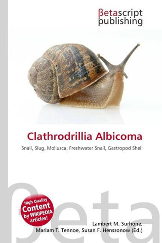 Clathrodrillia Albicoma