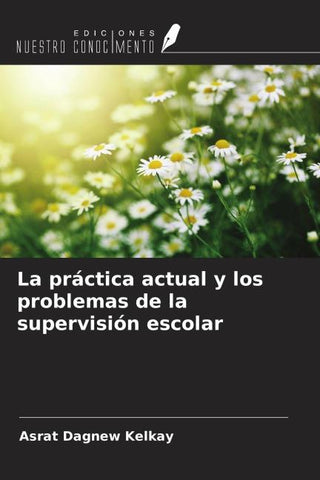 La práctica actual y los problemas de la supervisión escolar
