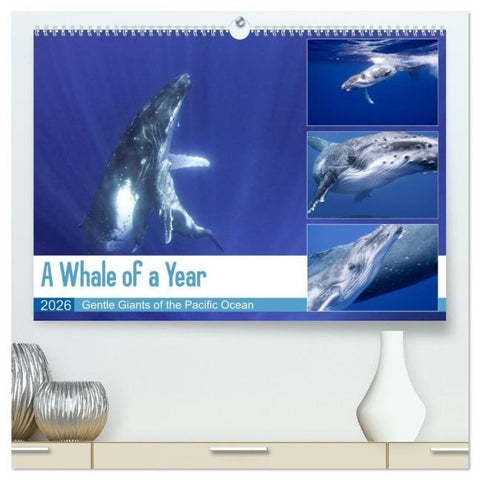A Whale of a Year (High Quality Premium Wall Calendar 2026 DIN A2 landscape),CALVENDO 12 Month Wall Calendar