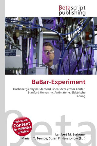 BaBar-Experiment