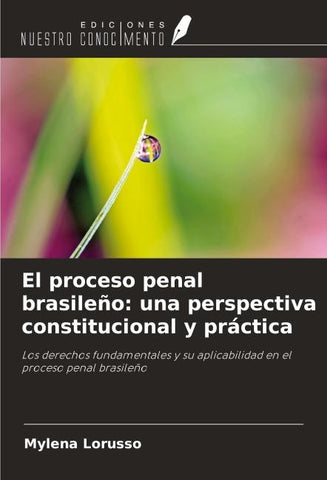 El proceso penal brasileño: una perspectiva constitucional y práctica