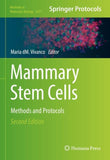 Mammary Stem Cells