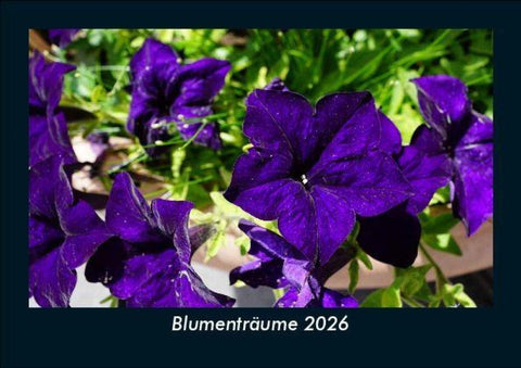 Blumenträume 2026 Fotokalender DIN A5
