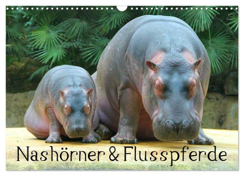 Nashörner & Flusspferde (Wandkalender 2026 DIN A3 quer), CALVENDO Monatskalender