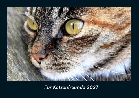 Für Katzenfreunde 2027 Fotokalender DIN A4
