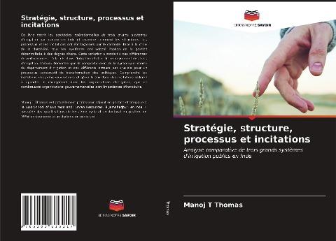 Stratégie, structure, processus et incitations