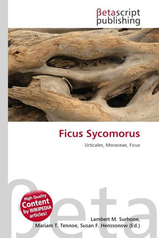 Ficus Sycomorus