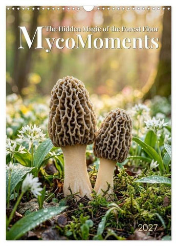 MycoMoments (Wall Calendar 2027 DIN A3 portrait), CALVENDO 12 Month Wall Calendar