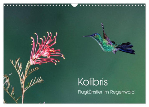 Kolibris - Flugkünstler im Regenwald (Wandkalender 2026 DIN A3 quer), CALVENDO Monatskalender