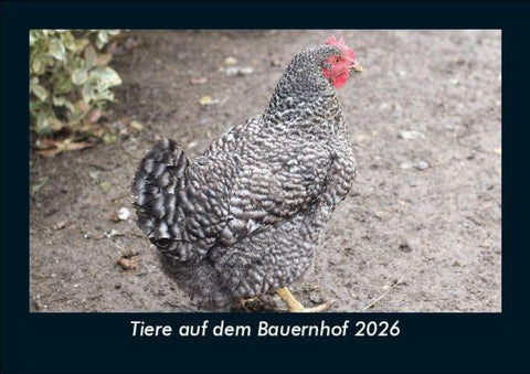 Tiere auf dem Bauernhof 2026 Fotokalender DIN A5