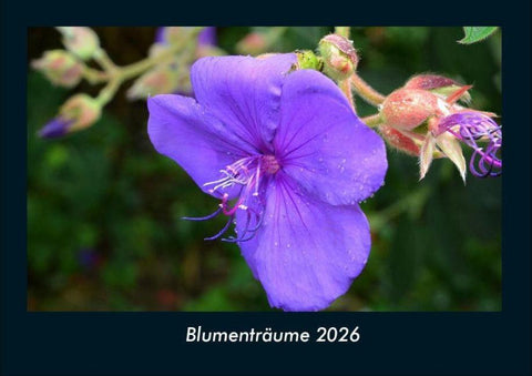 Blumenträume 2026 Fotokalender DIN A4