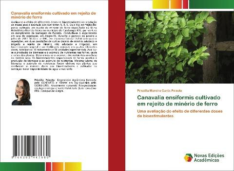Canavalia ensiformis cultivado em rejeito de minério de ferro