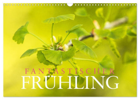 Fantastischer Frühling (Wandkalender 2026 DIN A3 quer), CALVENDO Monatskalender
